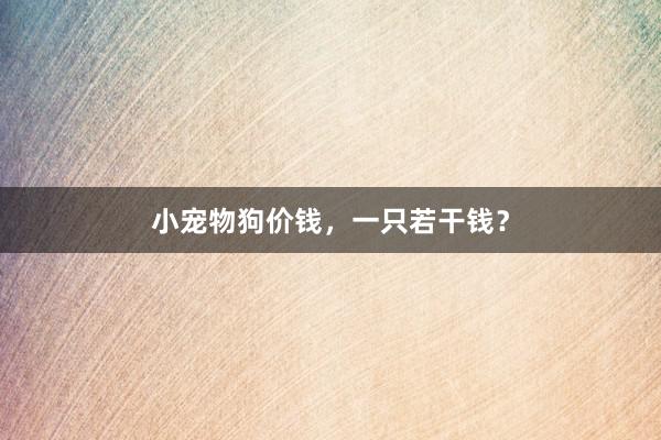 小宠物狗价钱，一只若干钱？