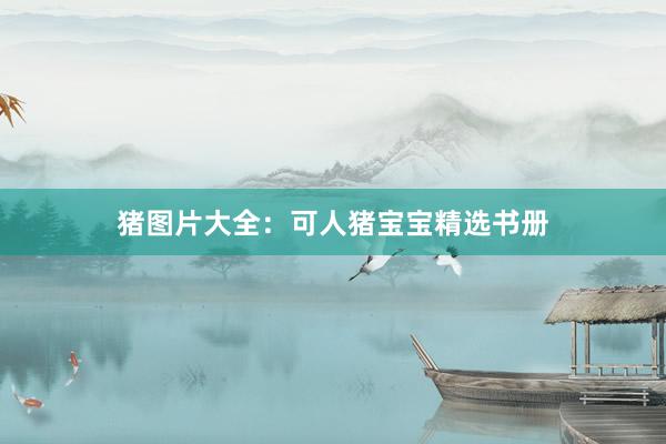 猪图片大全：可人猪宝宝精选书册